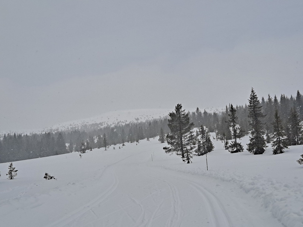 Grått, lett snøvær i starten