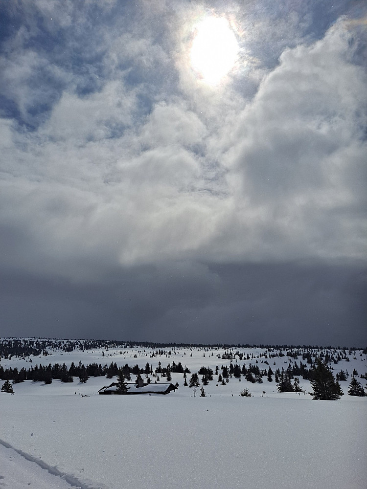 I løypa ved Løvisåsen
