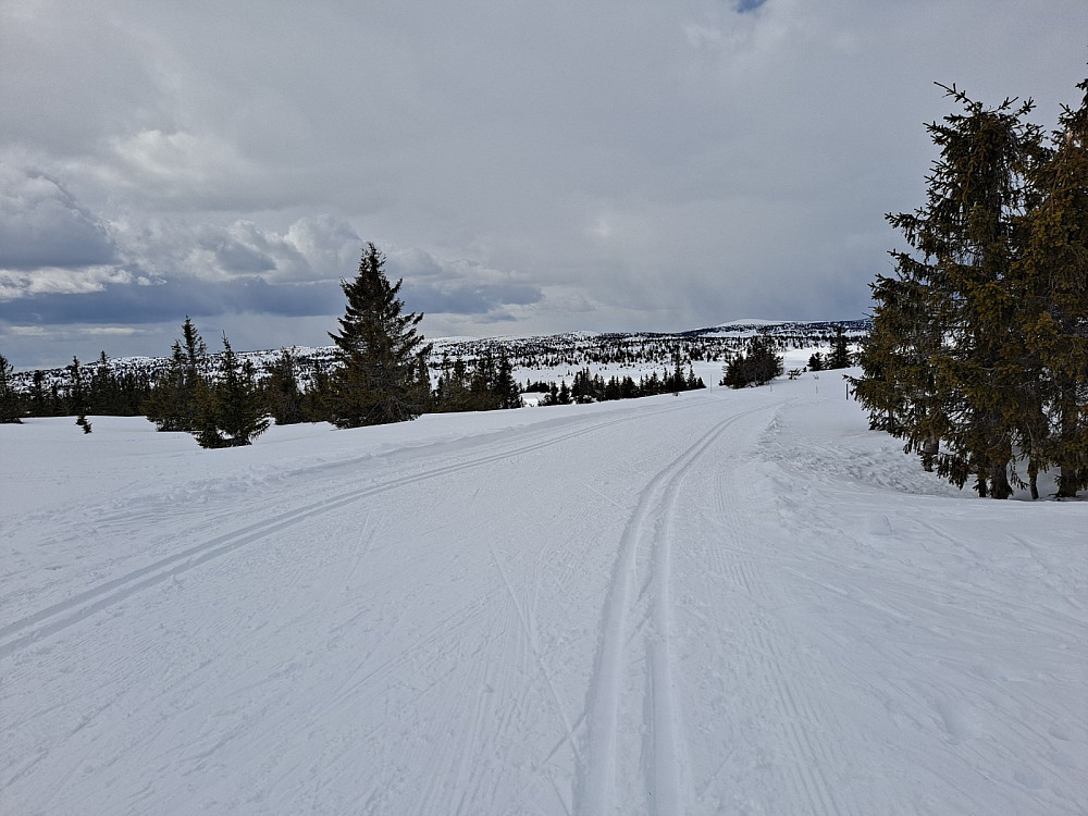 I løypa ved Gjesboåsen
