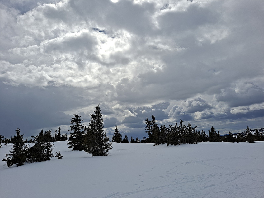 Gjesboåsen