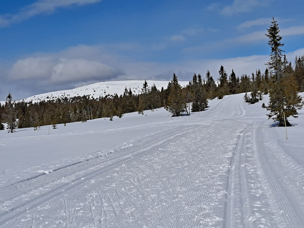 Ser mot Nevelfjell