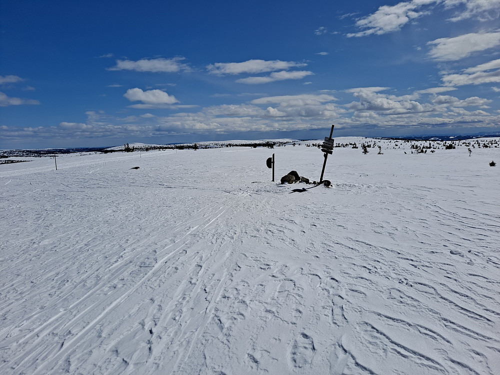 På Lunkefjell