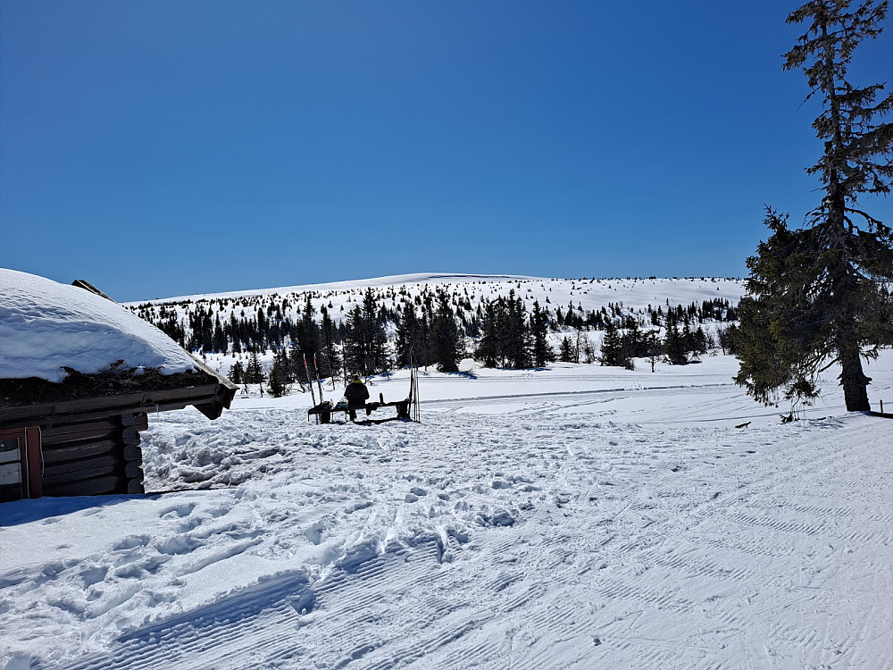 Ved Midtfjellkoia
