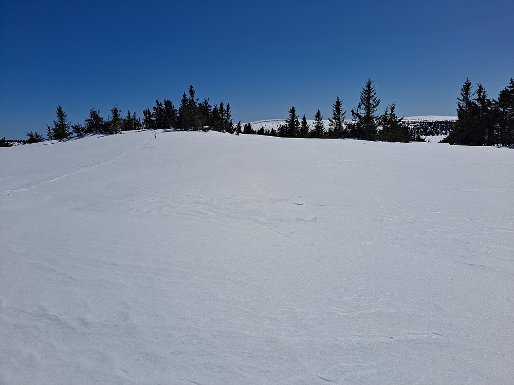 Mot toppen av Gjesboåsen