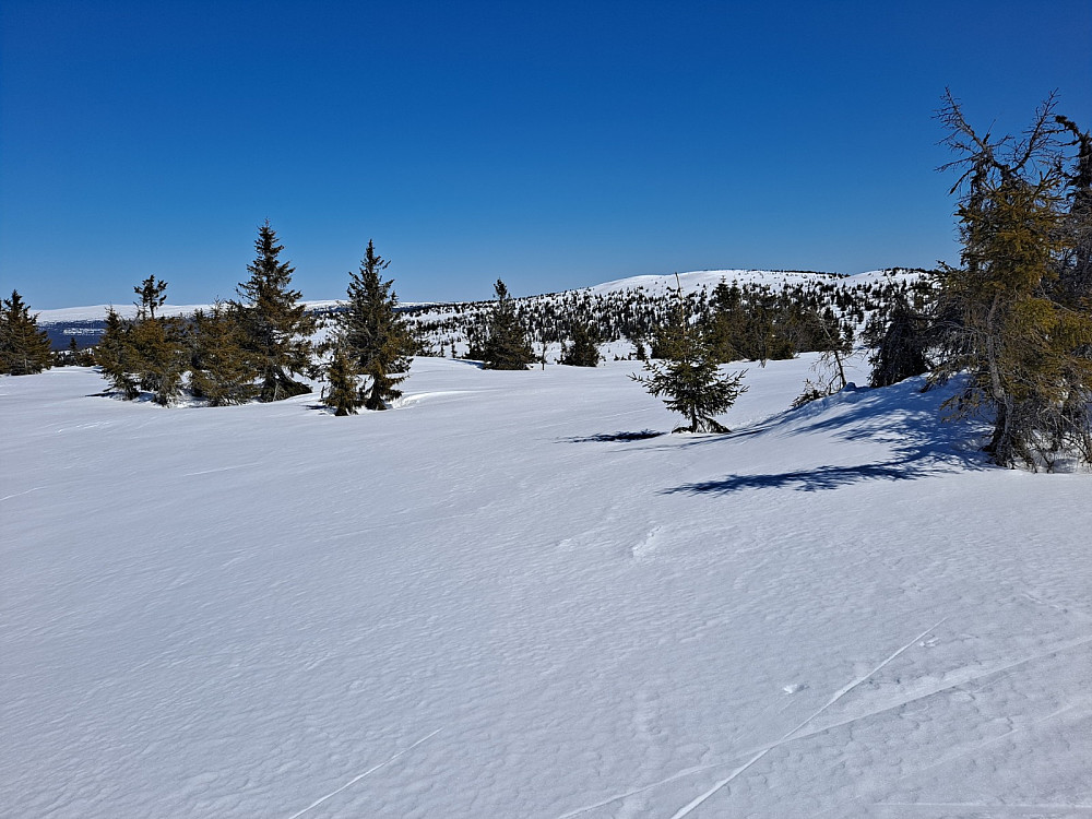 Fra Gjesboåsen mot Steinvikfjellet