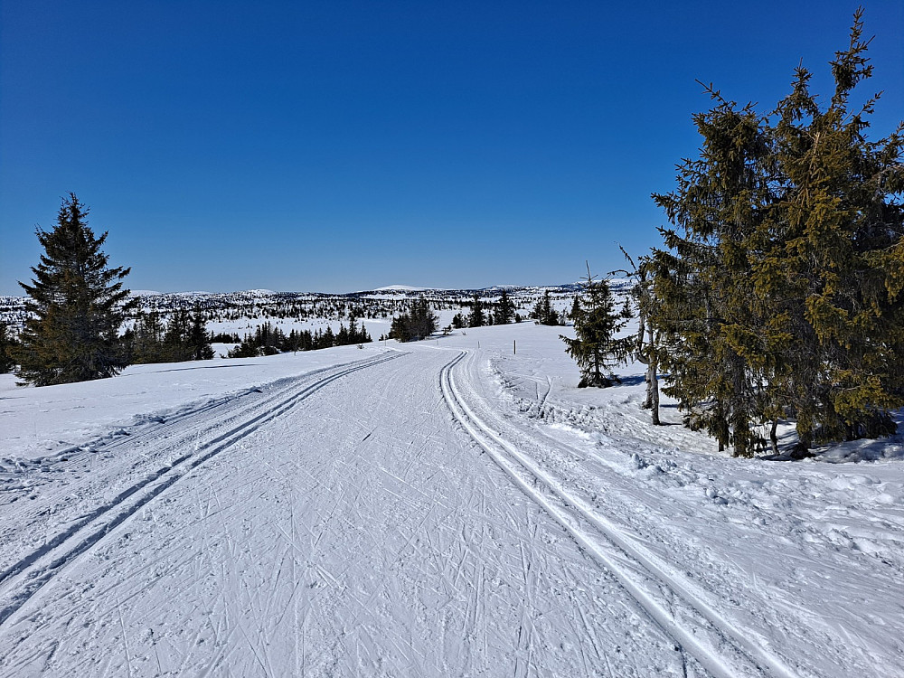Løypa ved Gjesboåsen