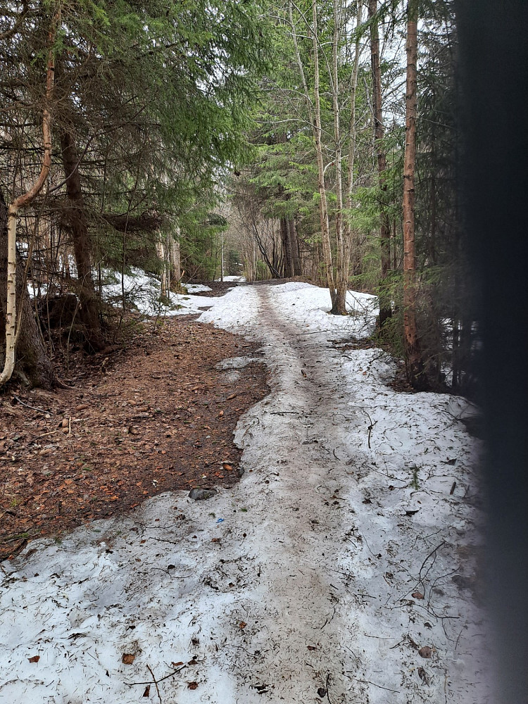 Fortsatt noe snø og is i råket fra Skårsetsaga
