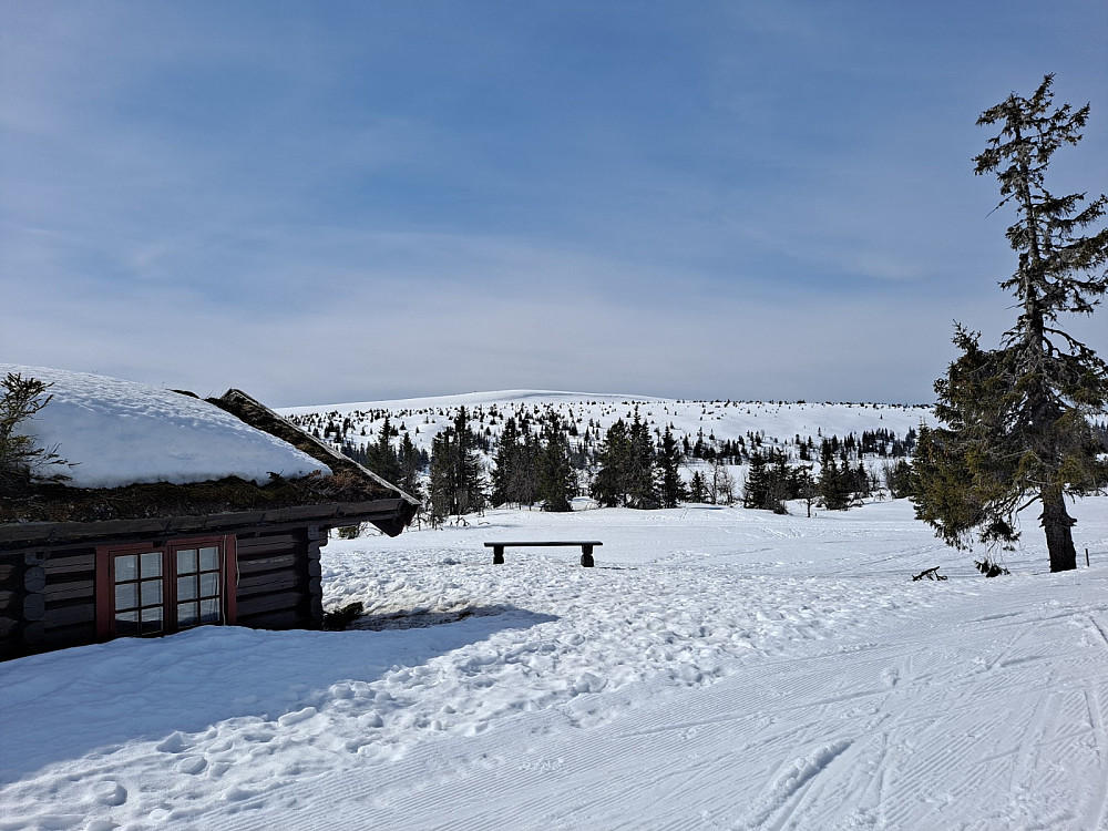 Ved Midtfjellkoia