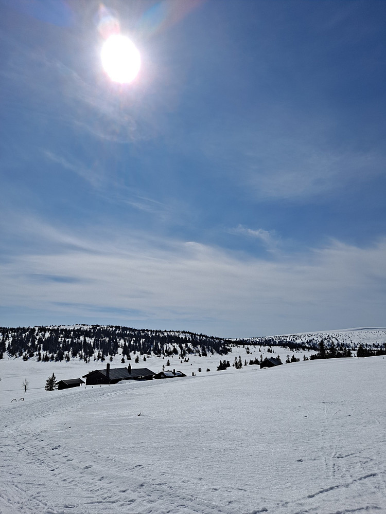 Ved setrene på Gjesboåsen