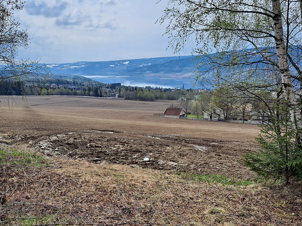 Lysgårdsjordet