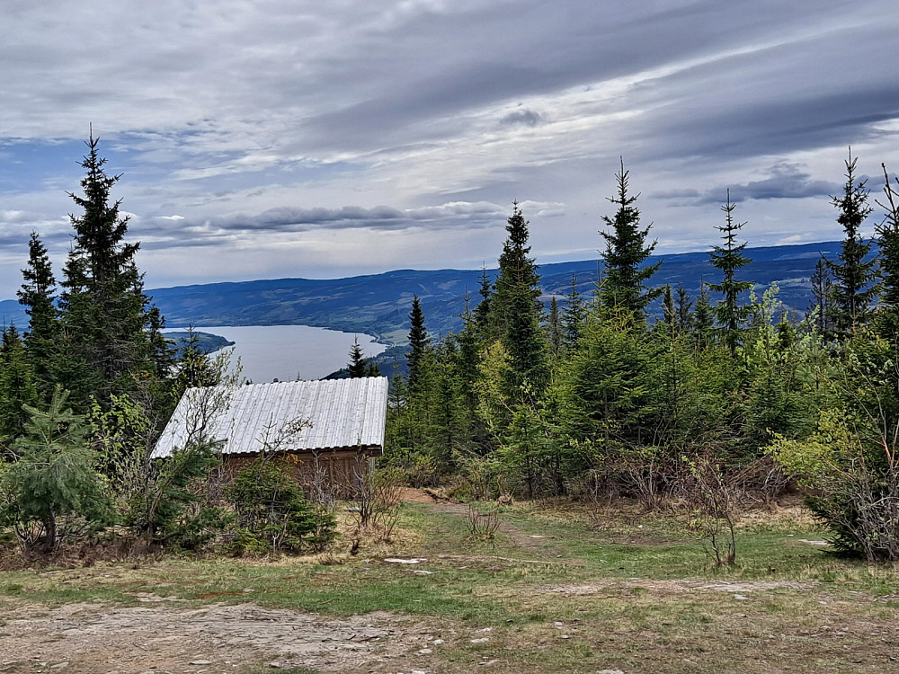 På Balbergkampen