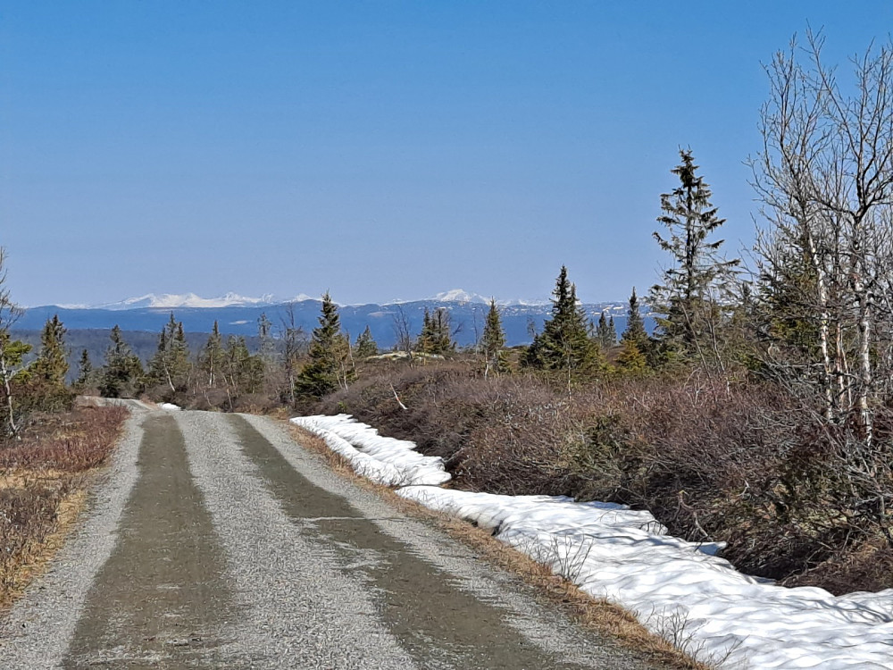 Mot Rondane