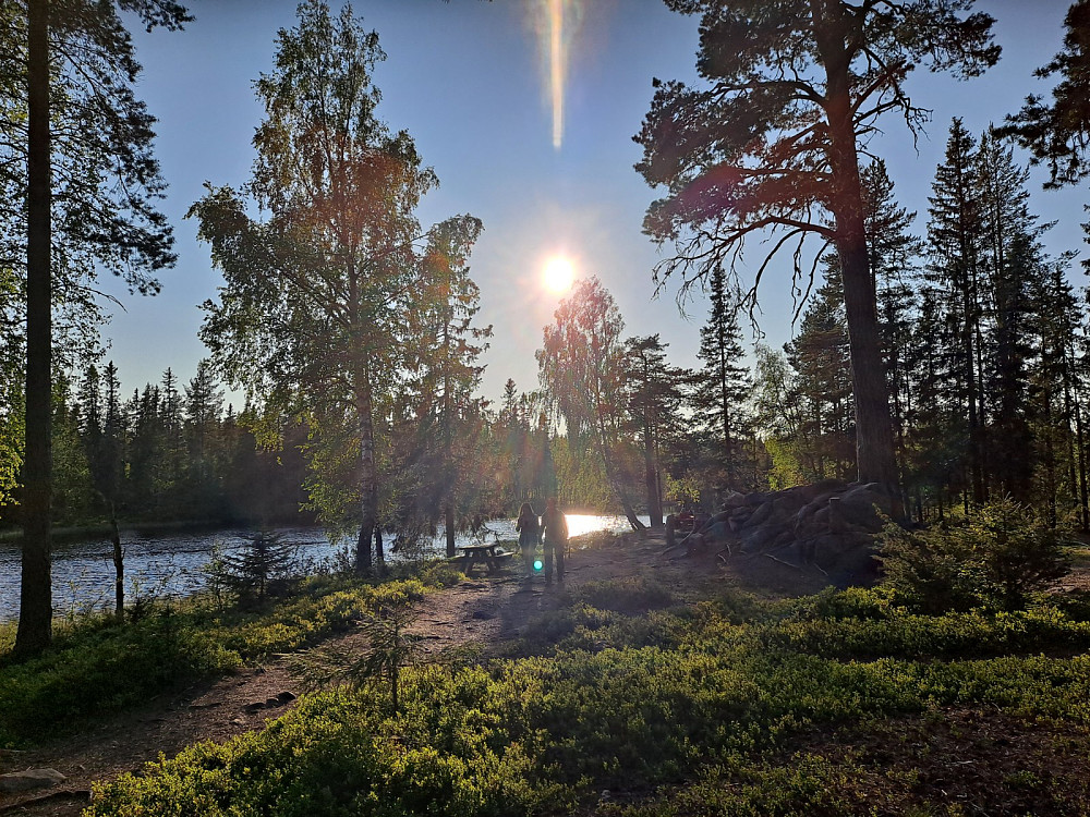 Ved Krokbua