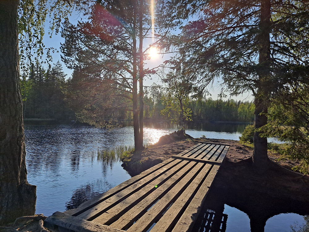 Ved Krokbua