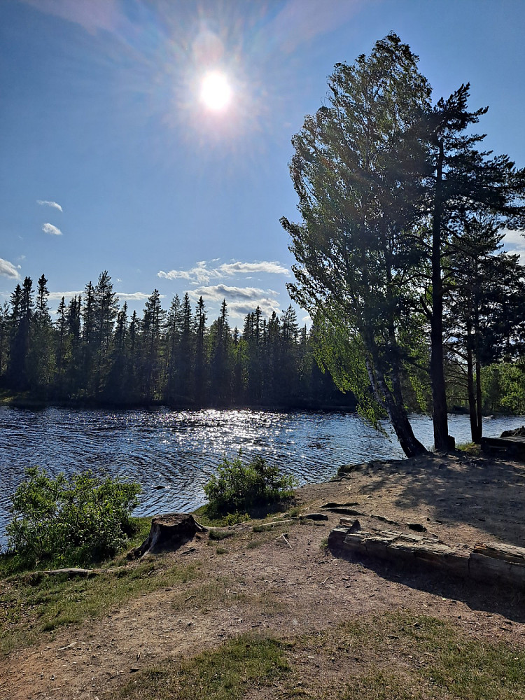 Ved Krokbua