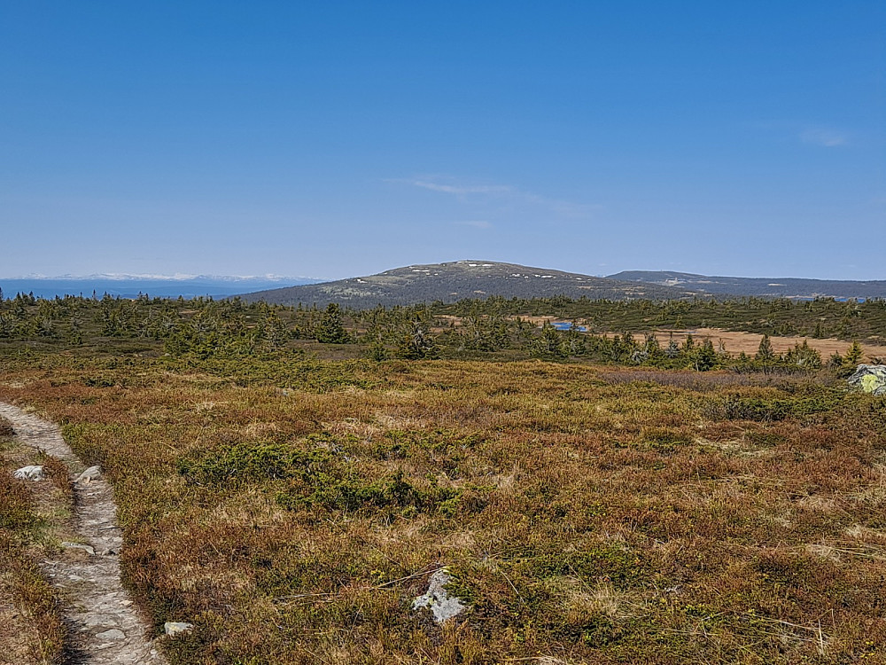 På Lunkefjell vest