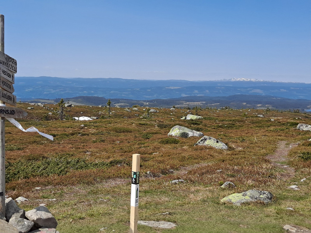 På Lunkefjell