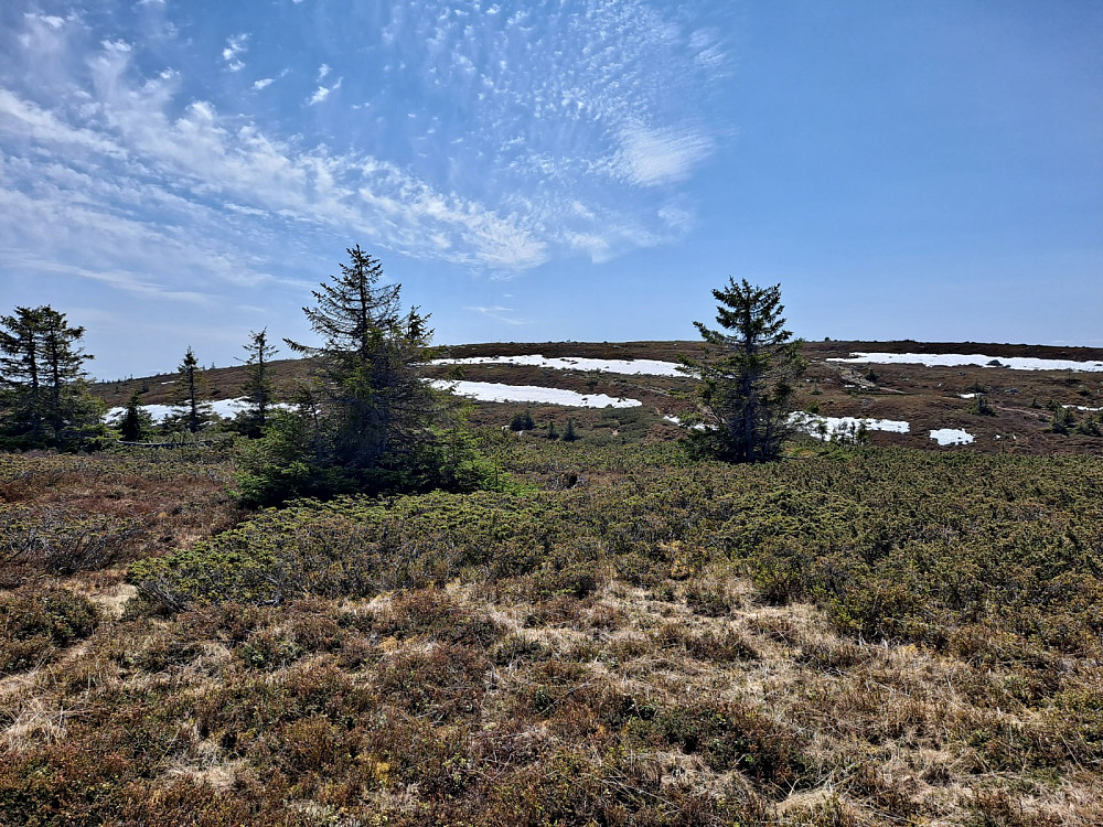 Mot Lunkefjell fra vesttoppen