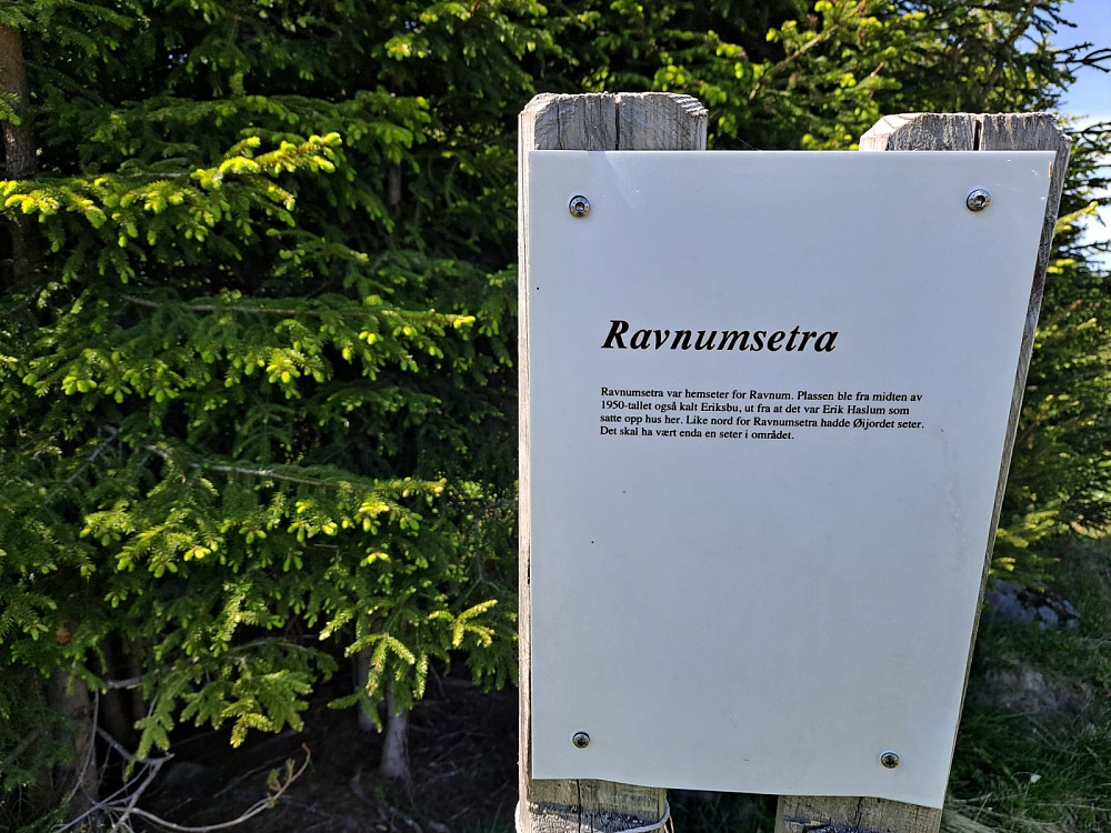 Info om Ravnumsetra