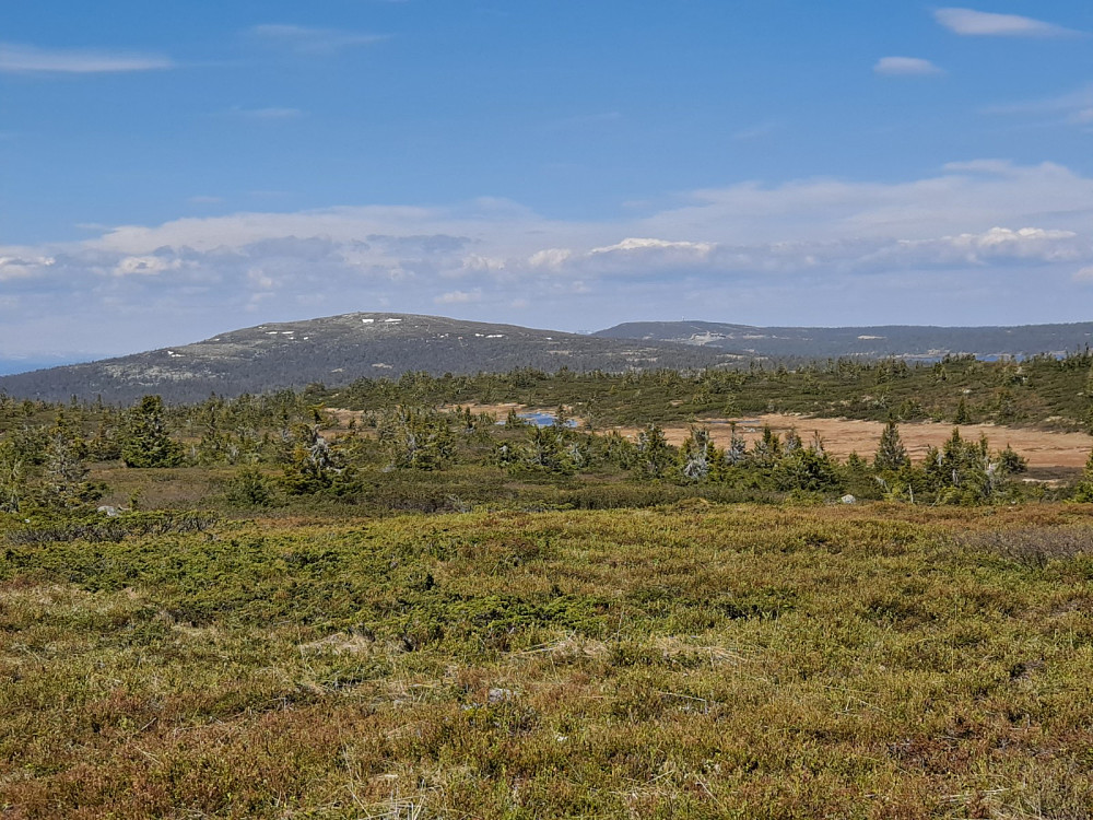 På Lunkefjell vest, mot Nevelfjell og Hafjell