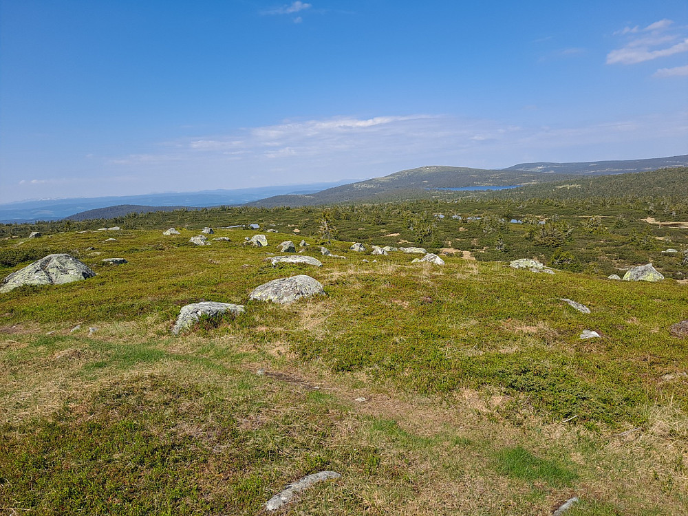 På Høgfjellet
