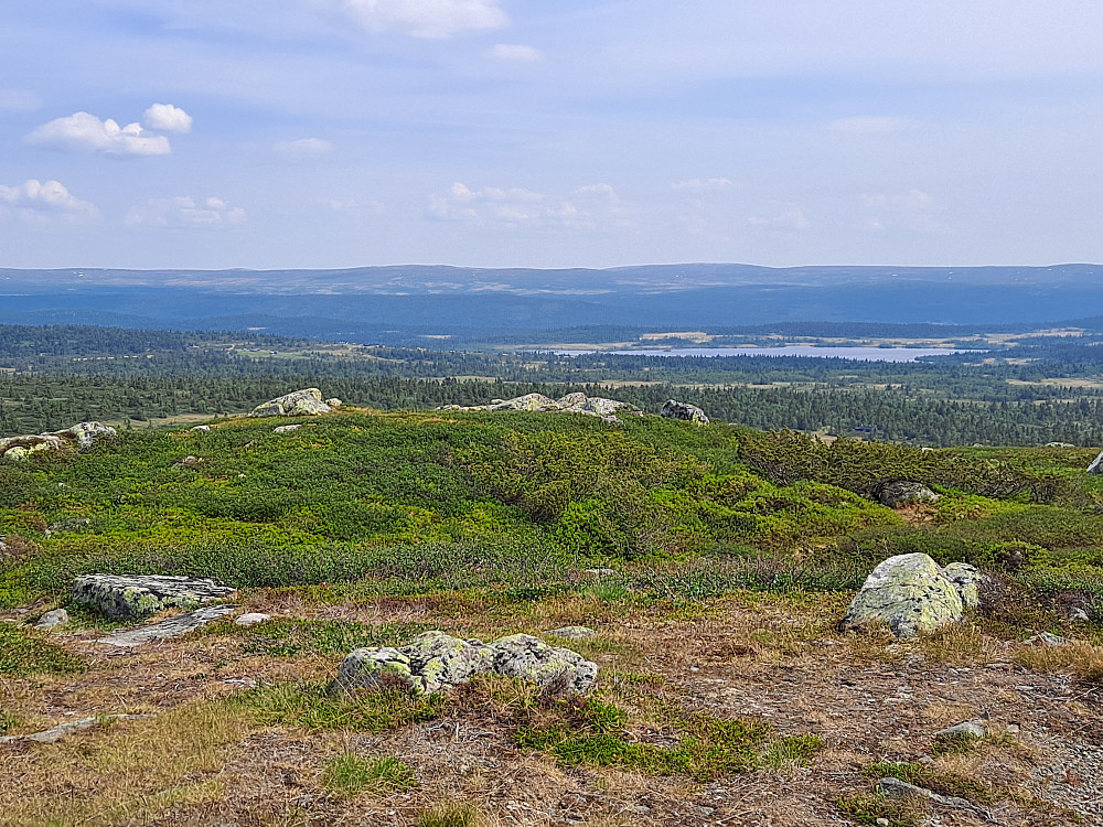 Mot Hornsjø