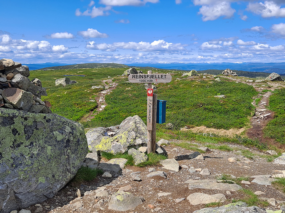 På Reinsfjellet