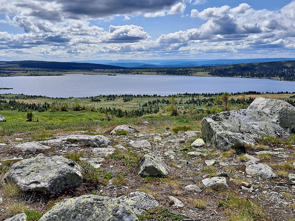 På Reinsfjellet
