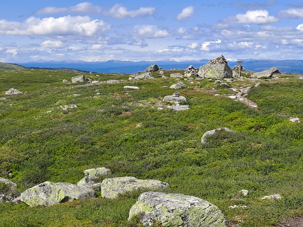 På Reinsfjellet