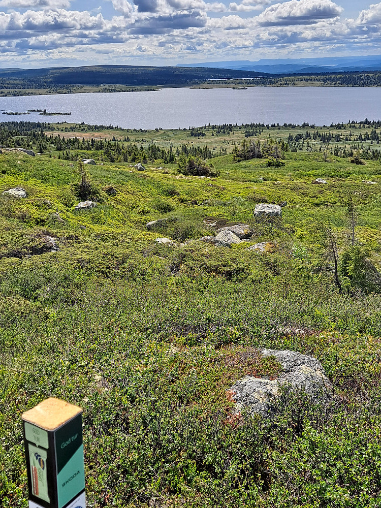På Reinsfjellet