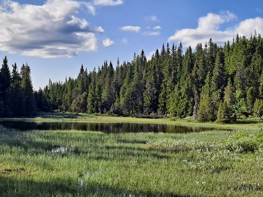 Nordre Rinnåstjern