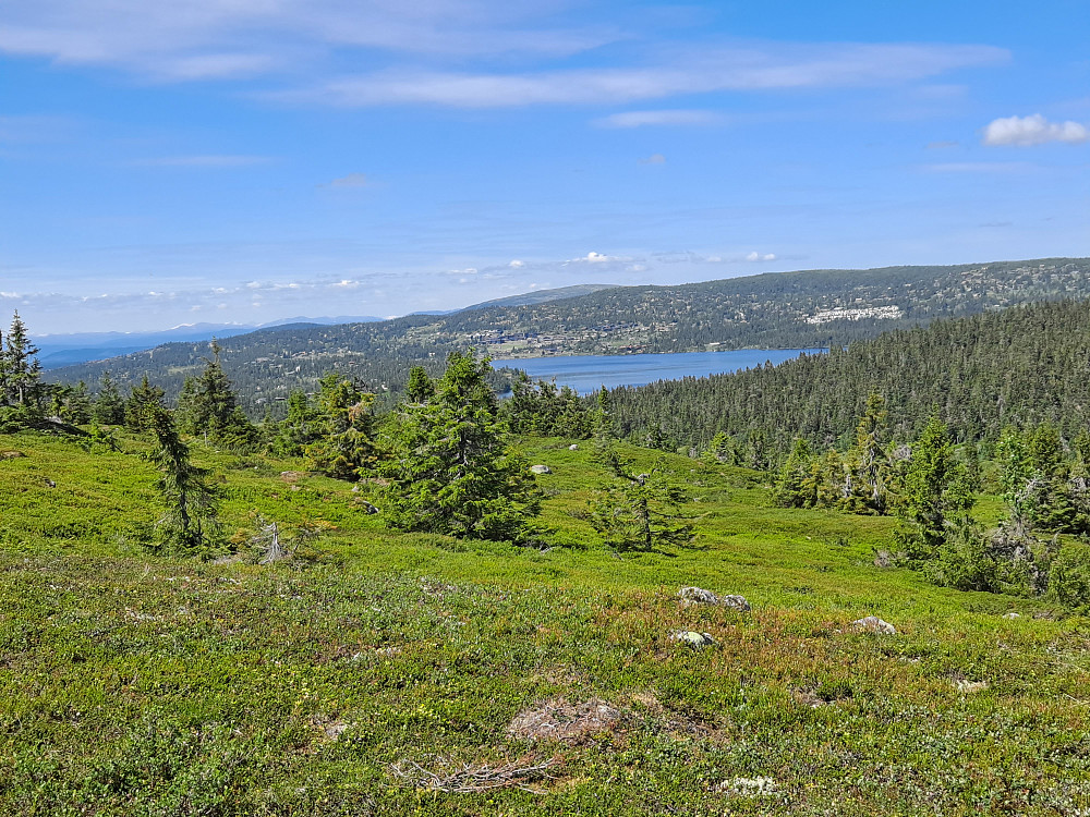 Mot Sjusjøen