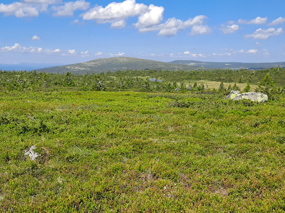 På  Lunkefjell vest