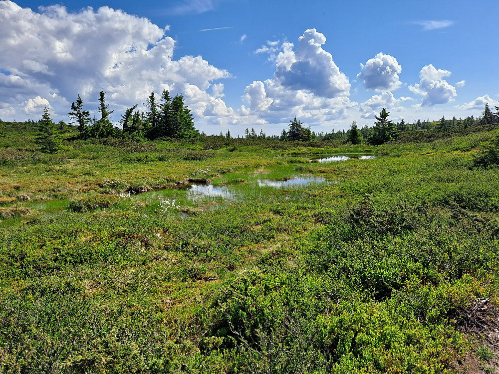 På vei til Lunkefjell