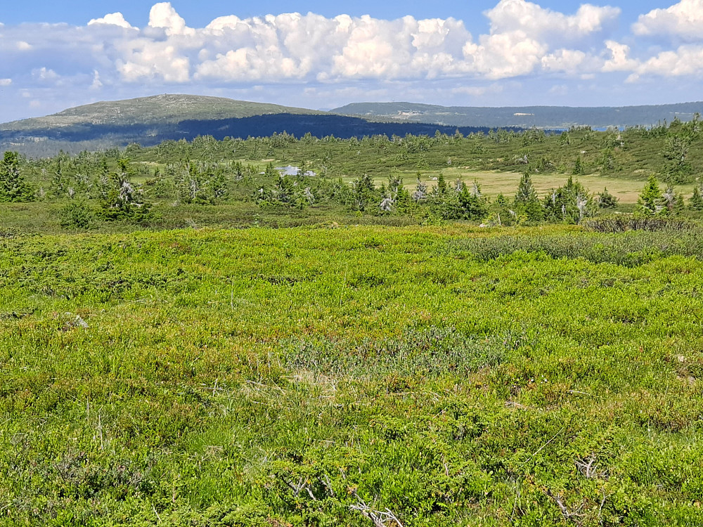På Lunkefjell vest
