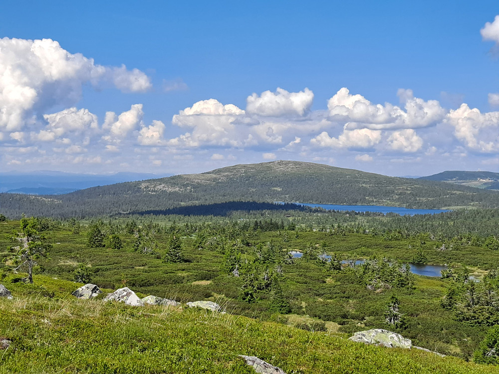 På Høgfjellet