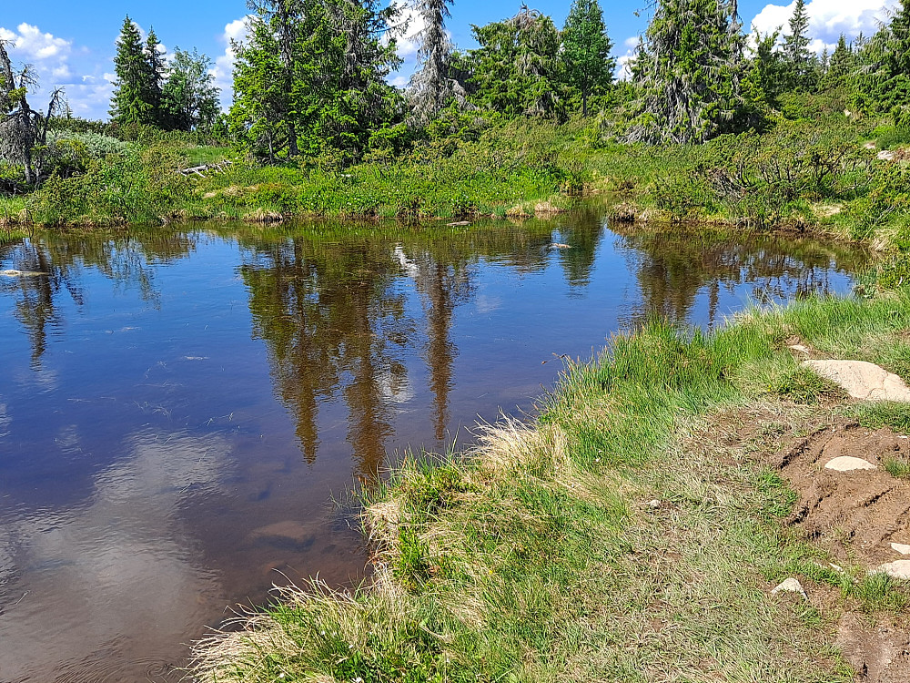 Ved Skjerketjerna