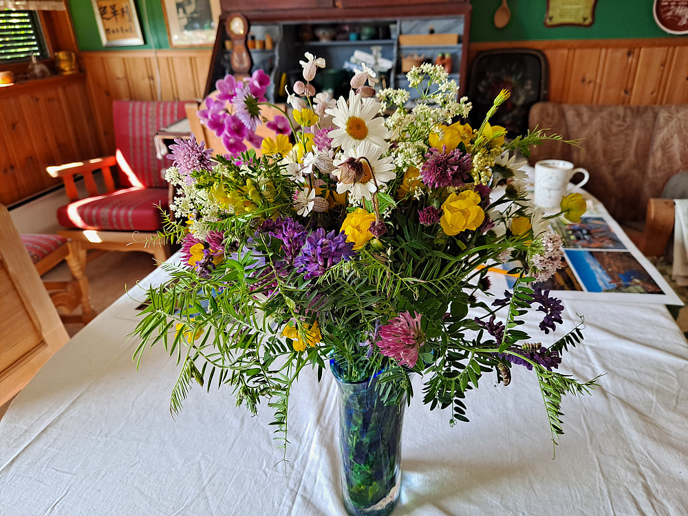 Markblomster