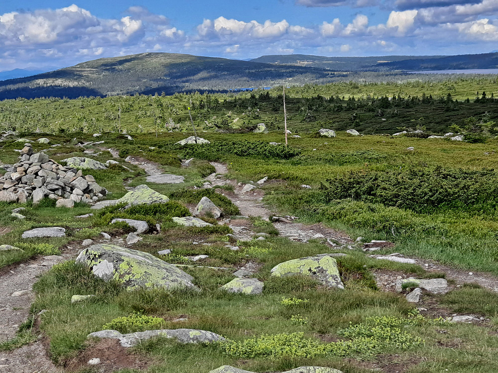 På Lunkefjell