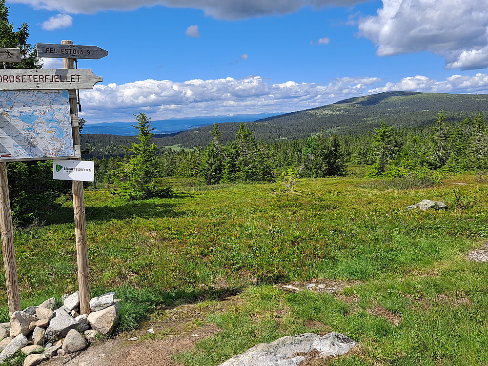Ved sti - og løypekrysset Nordseterfjellet