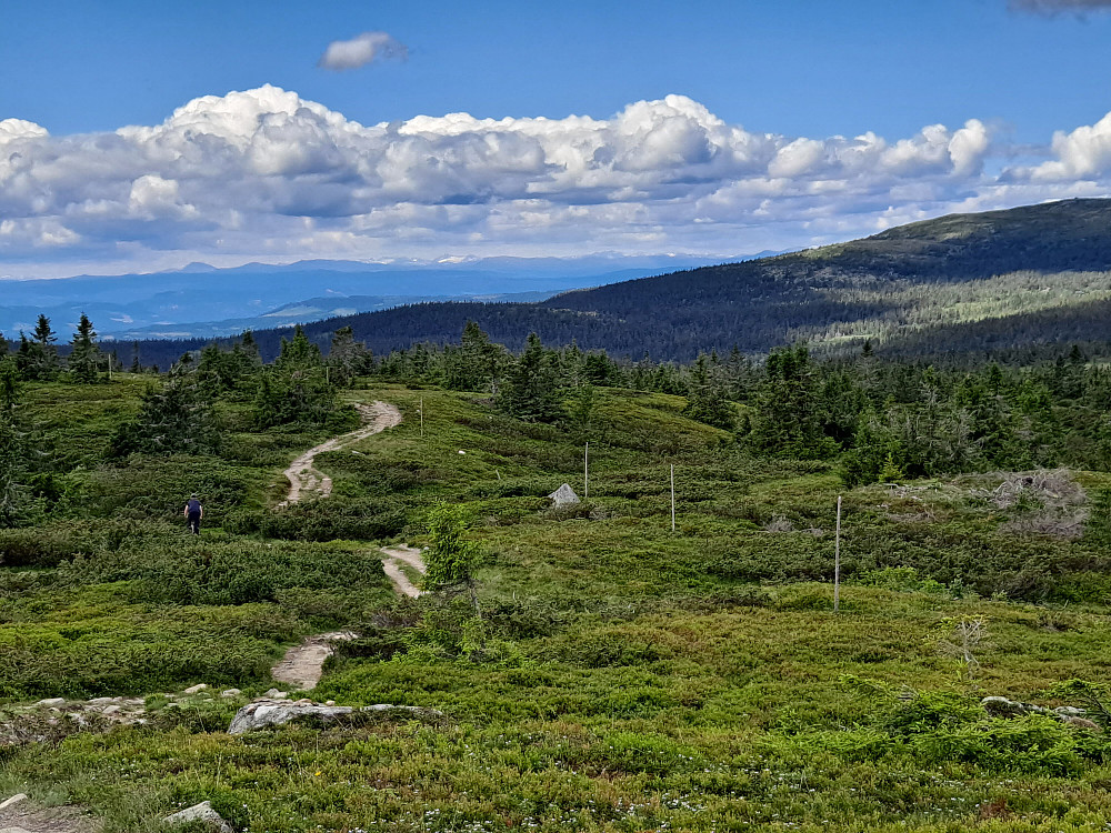 På veg ned fra Lunkefjell