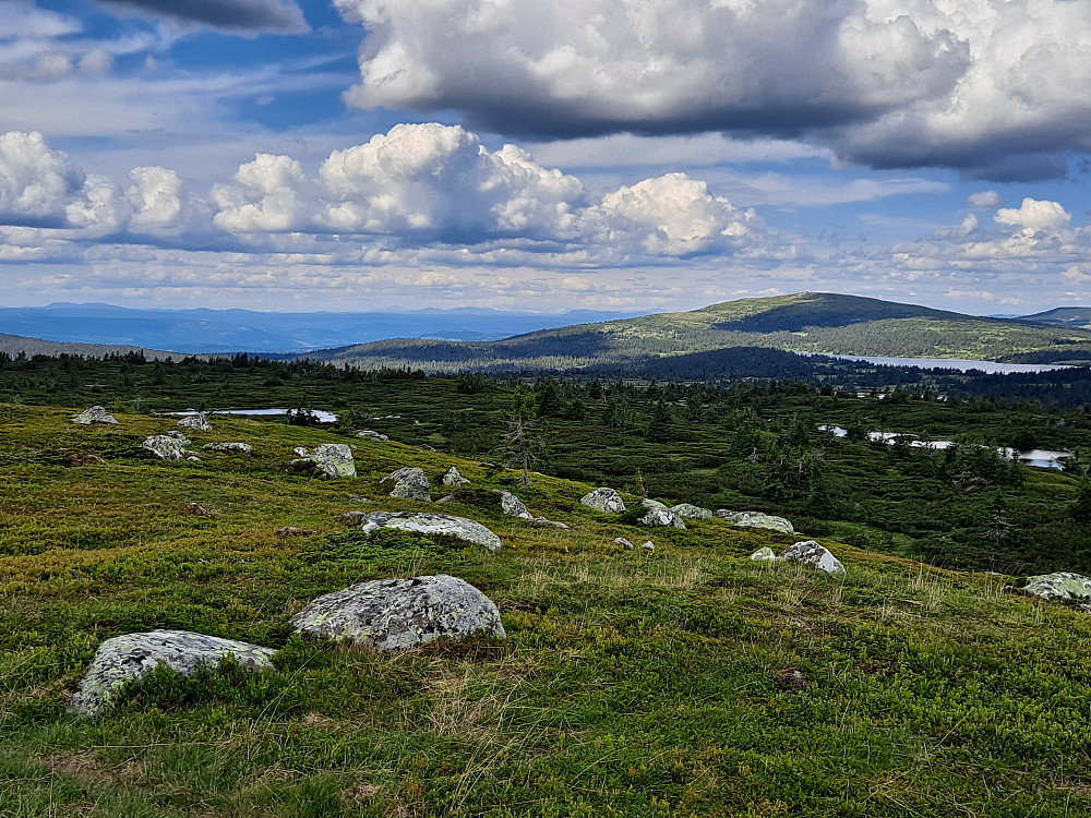 På Høgfjellet