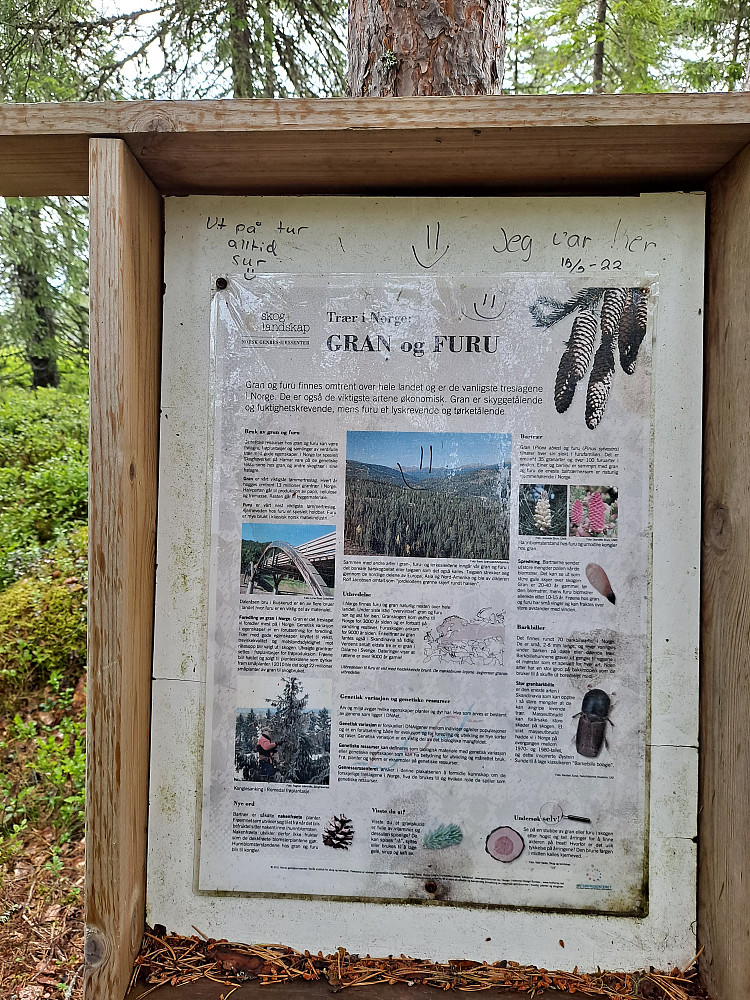 INFO-tavle der jeg gikk inn i skogen