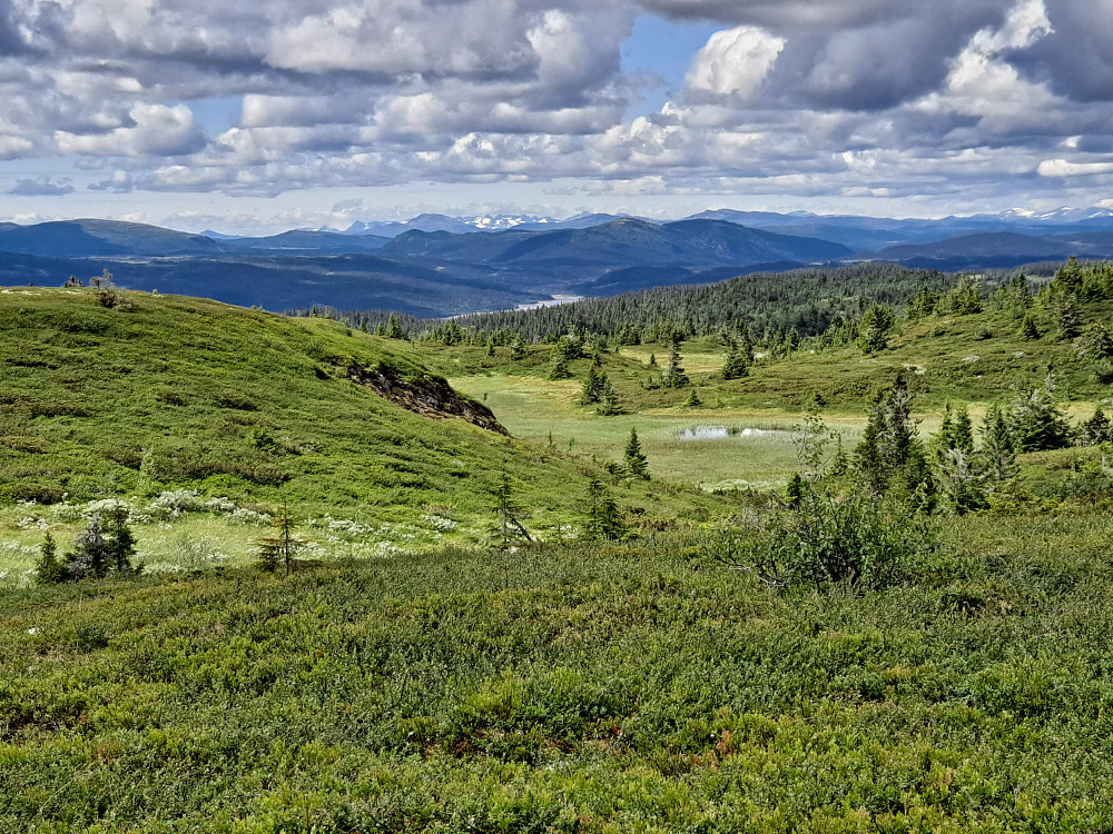 På Condruphaugen