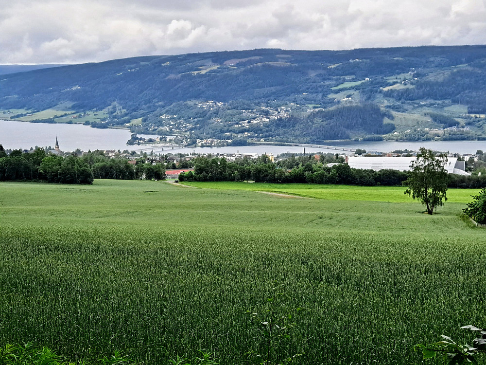 Lysgardsjordet
