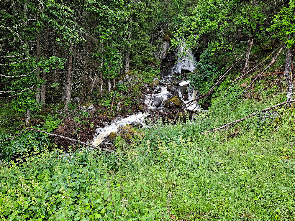 Liten foss i Stuksrudbekken