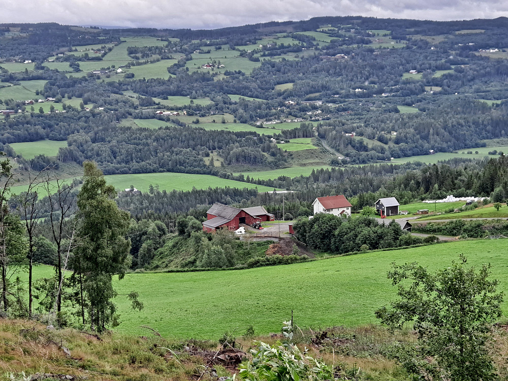 Håvardslia