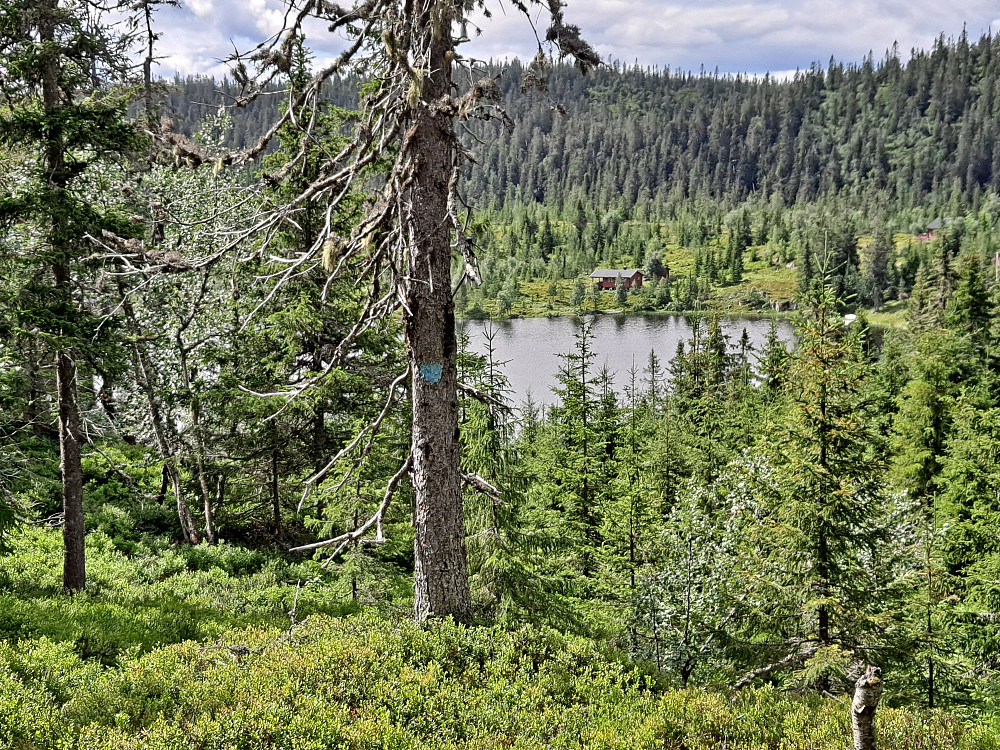 Nærmer oss Lepsjøen