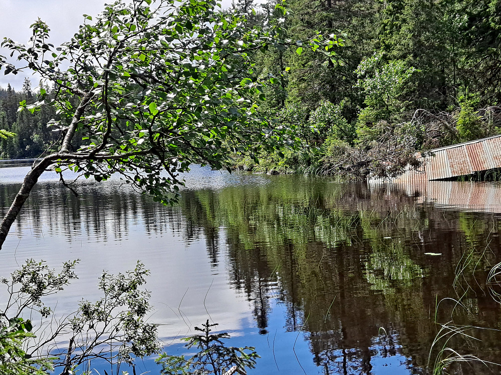 Ved Lepsjøen