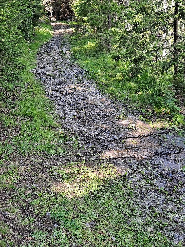 Liten bekk i råket etter regnet i går